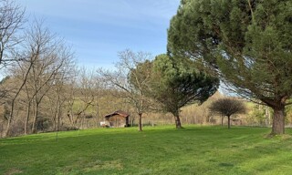 Photo N° 6