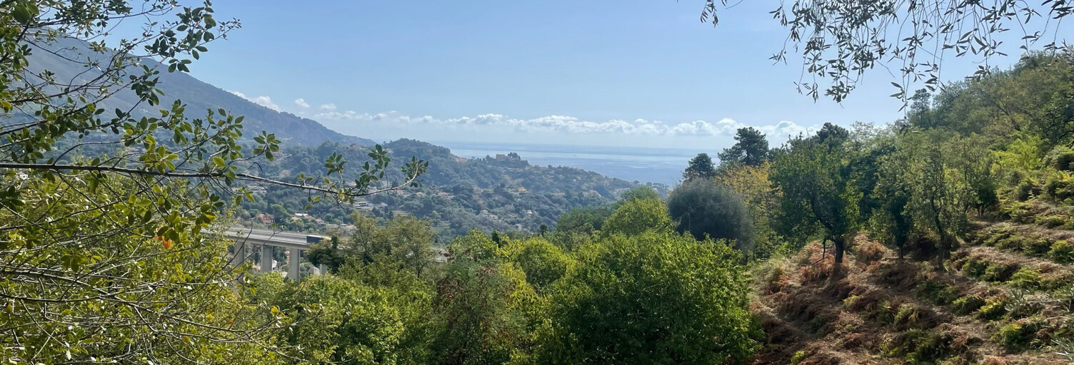 Terrain  8551 m² à vendre à Sainte-Agnès (06500)