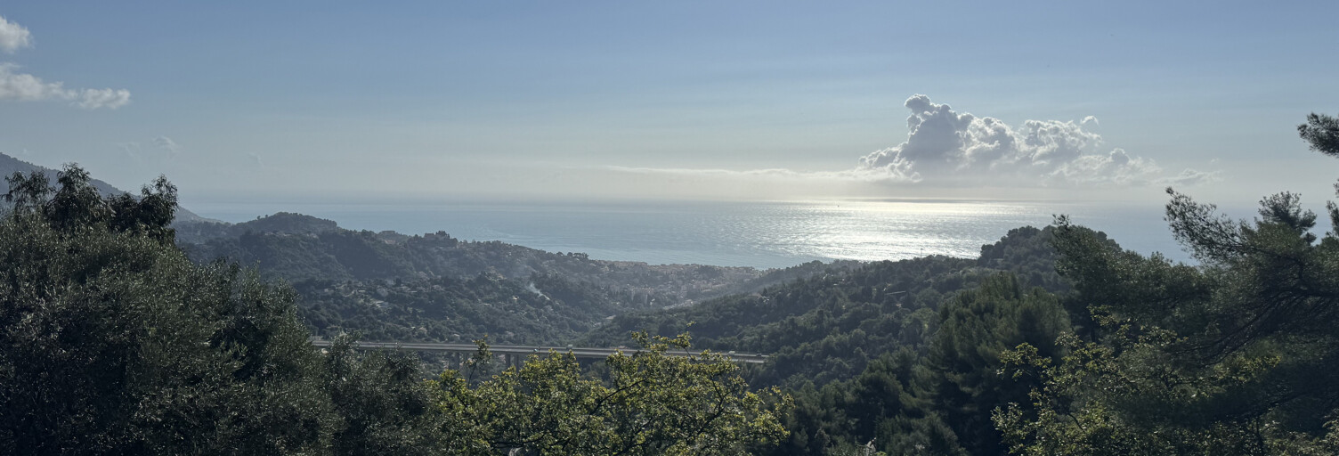 Terrain  2430 m² à vendre à Sainte-Agnès (06500)