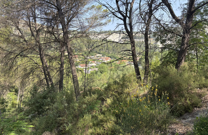 Terrain constructible - la grave de Peille — photo 5