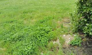 Terrain  807 m² à vendre à Laboutarie (81120)