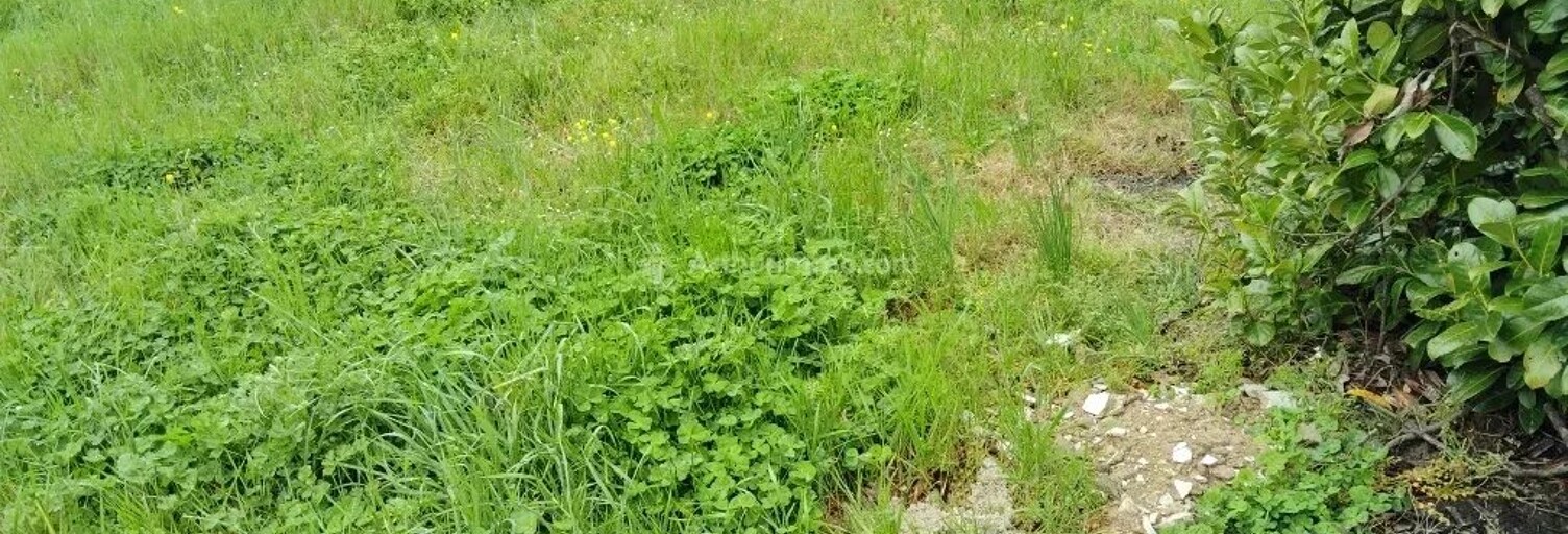 Terrain  807 m² à vendre à Laboutarie (81120)