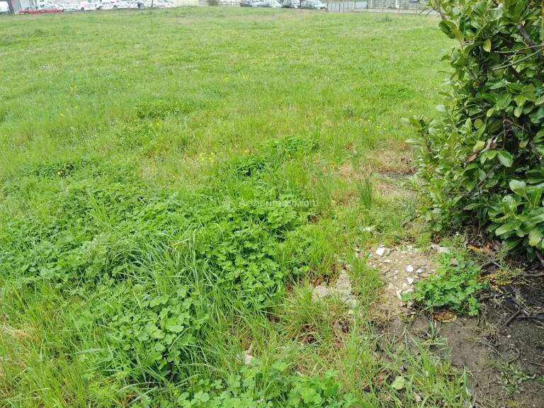 Terrain à bâtir a Laboutarie — photo 1