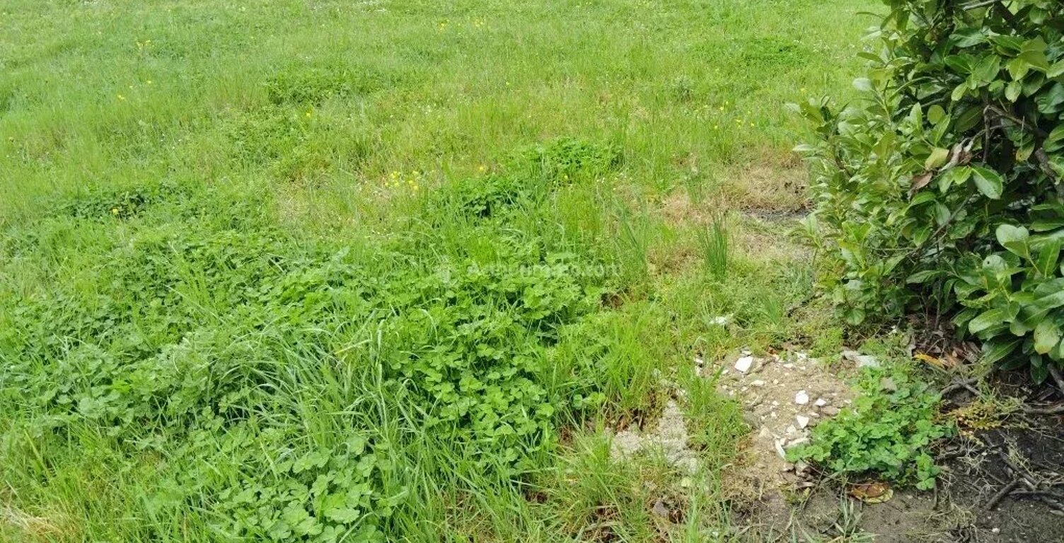 Terrain à bâtir a Laboutarie — photo 1