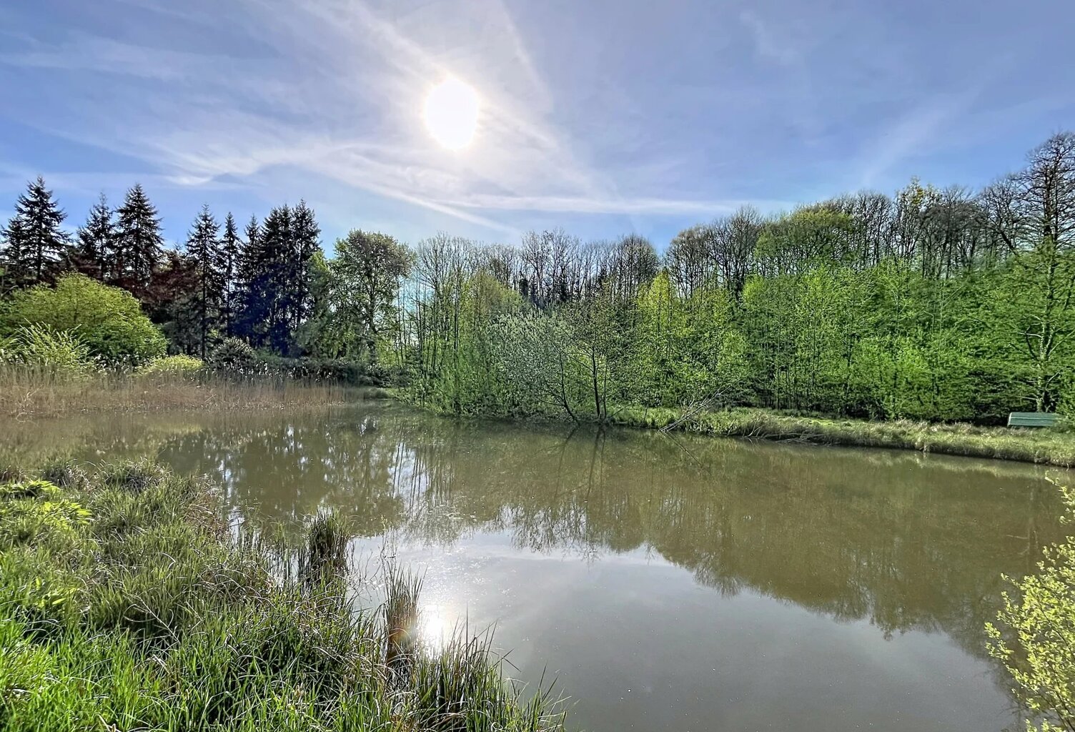 Terrain de loisir 1 hectare avec 2 étangs — photo 1