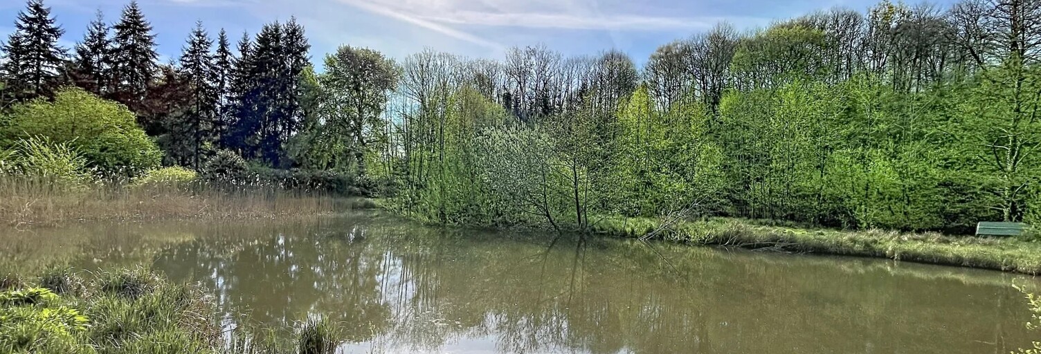 Terrain  10000 m² à vendre à Bourguignon-sous-Montbavin (02000)