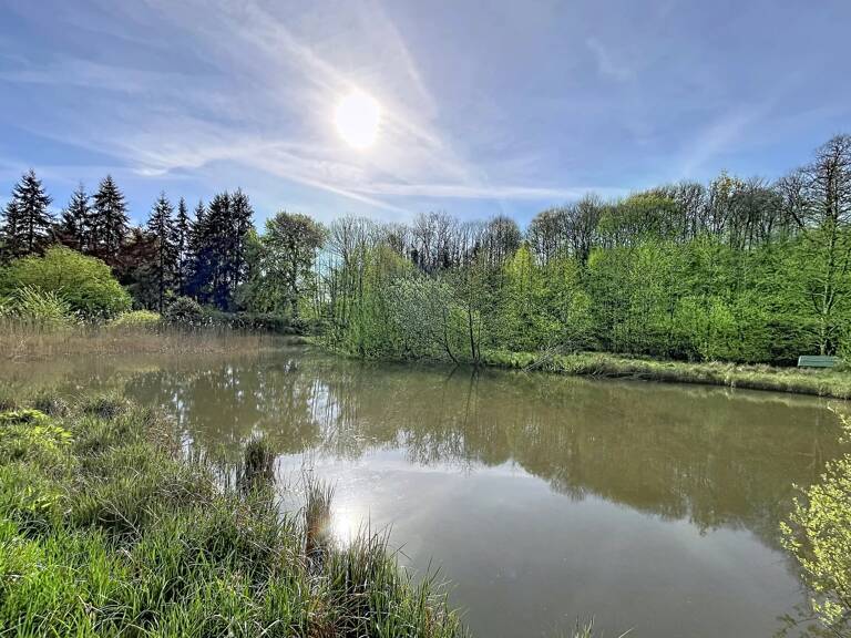 Terrain de loisir 1 hectare avec 2 étangs — photo 1