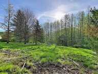 Terrain de loisir 1 hectare avec 2 étangs — photo 2