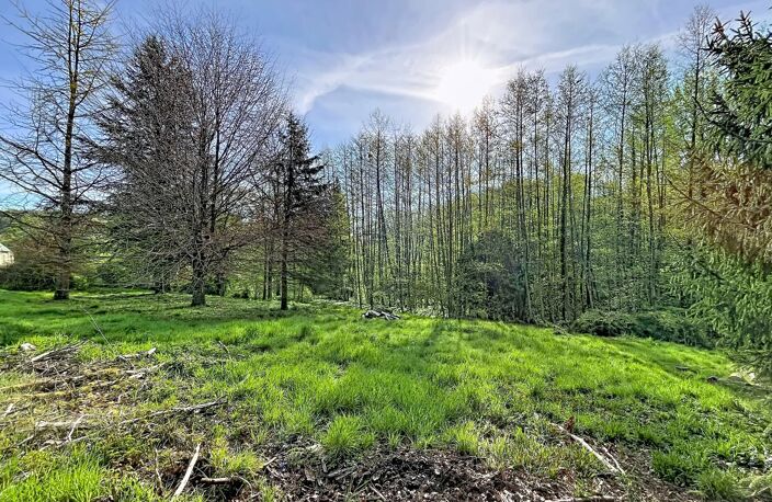 Terrain de loisir 1 hectare avec 2 étangs — photo 2