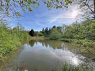 Terrain de loisir 1 hectare avec 2 étangs — photo 3