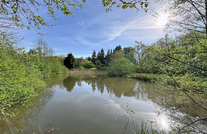 Terrain de loisir 1 hectare avec 2 étangs — photo 3