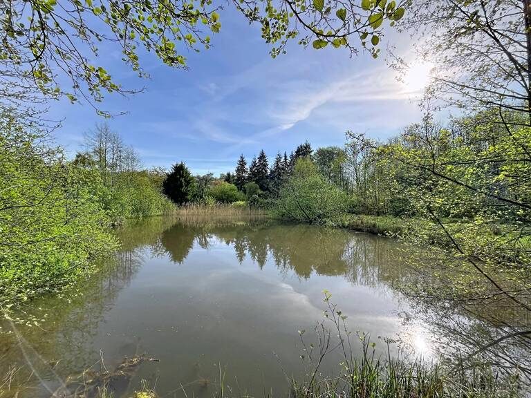 Terrain de loisir 1 hectare avec 2 étangs — photo 1