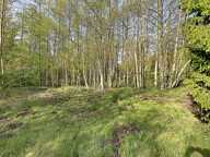 Terrain de loisir 1 hectare avec 2 étangs — photo 4