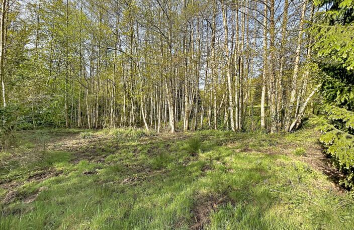 Terrain de loisir 1 hectare avec 2 étangs — photo 4