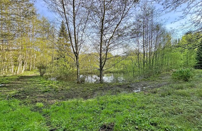 Terrain de loisir 1 hectare avec 2 étangs — photo 5