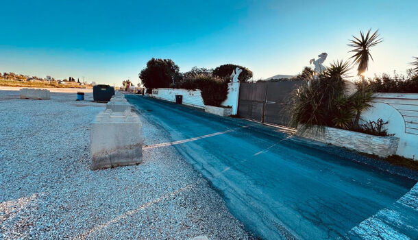 Local commercial  à vendre Torreilles 66440