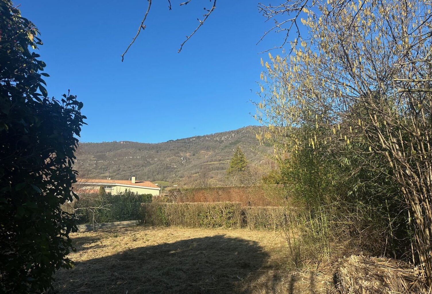 Terrain — photo 1