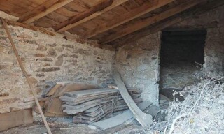 Photo N° 6
