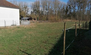 Photo N° 3