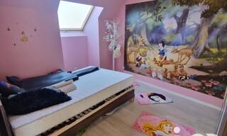 Photo N° 7