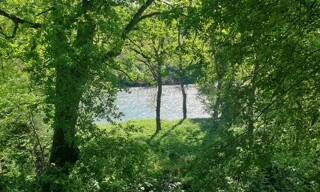 Photo N° 3