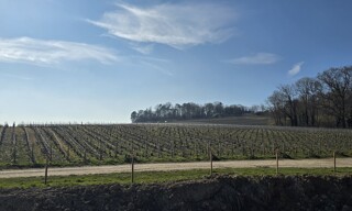 Photo N° 2