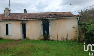 Photo N° 4