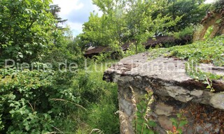 Photo N° 6