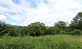 Photo N° 6