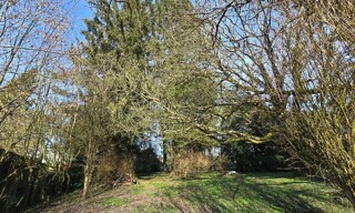 Photo N° 4