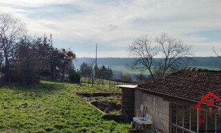 Photo N° 11