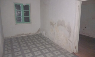 Photo N° 6