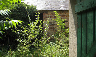 Photo N° 3