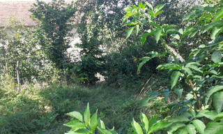 Photo N° 16