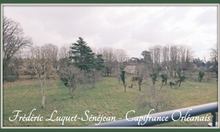Photo N° 5