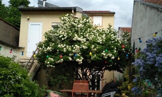 Photo N° 5