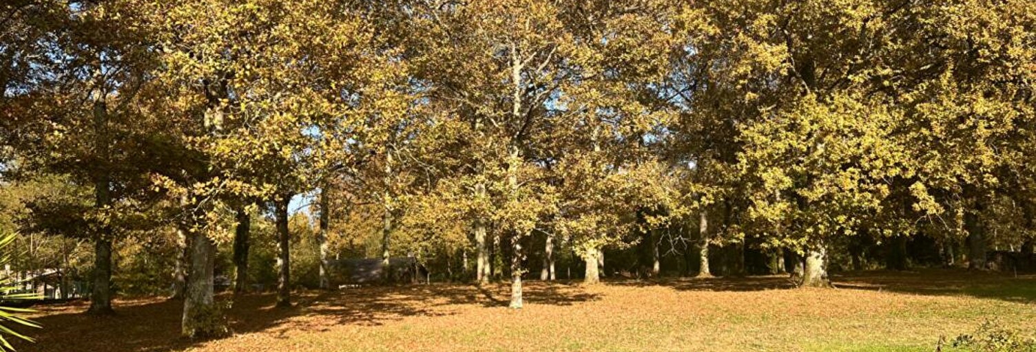 Terrain  3600 m² à vendre à Bazas (33430)