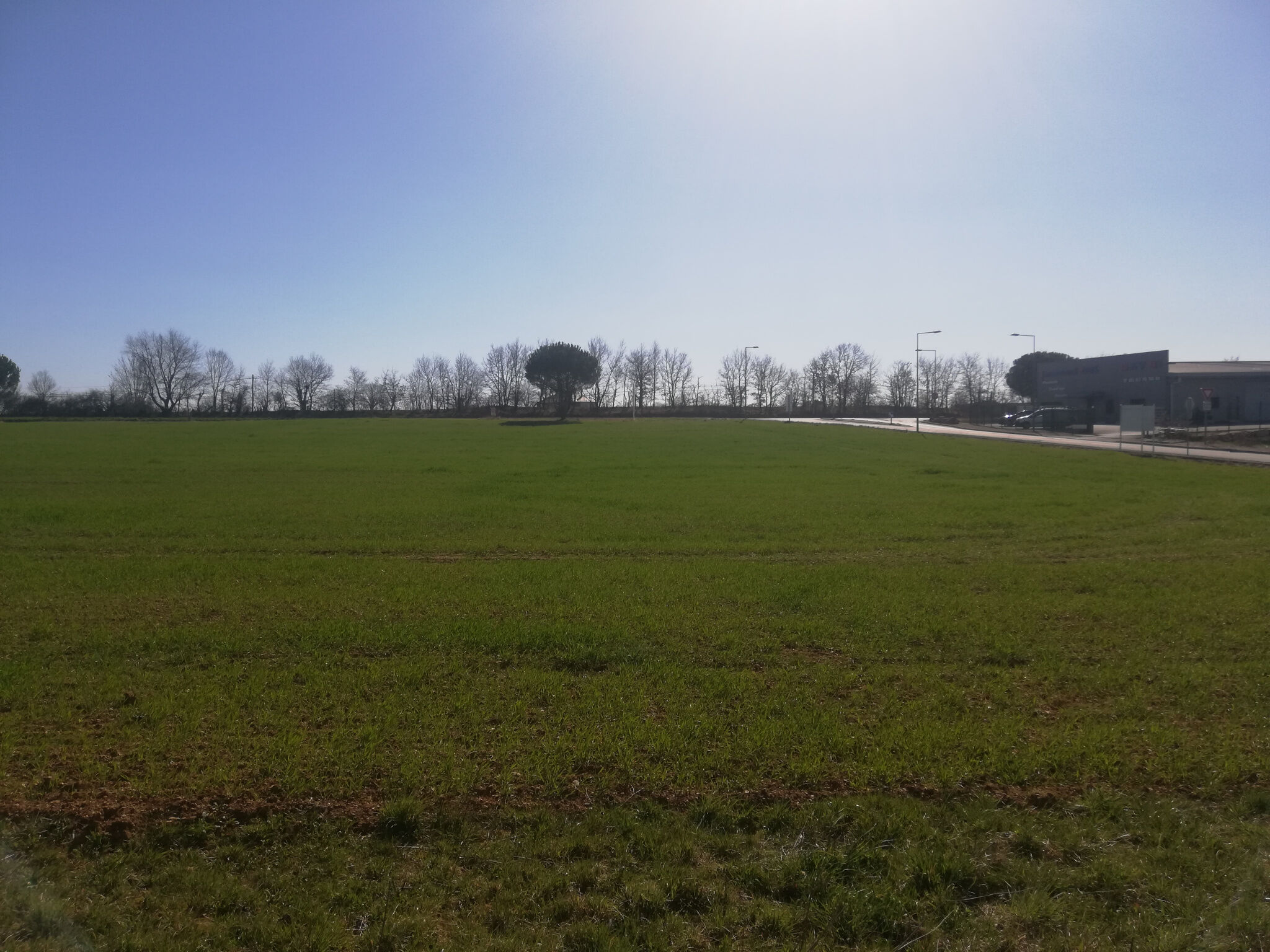 Terrain  à vendre Pampelonne 81190