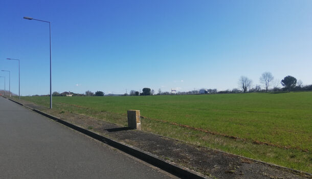 Terrain  à vendre Pampelonne 81190