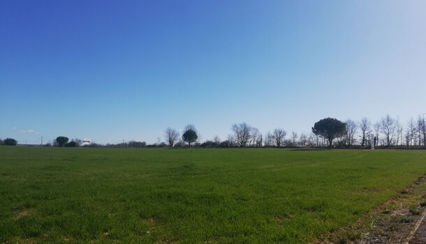 Terrain  à vendre Pampelonne 81190