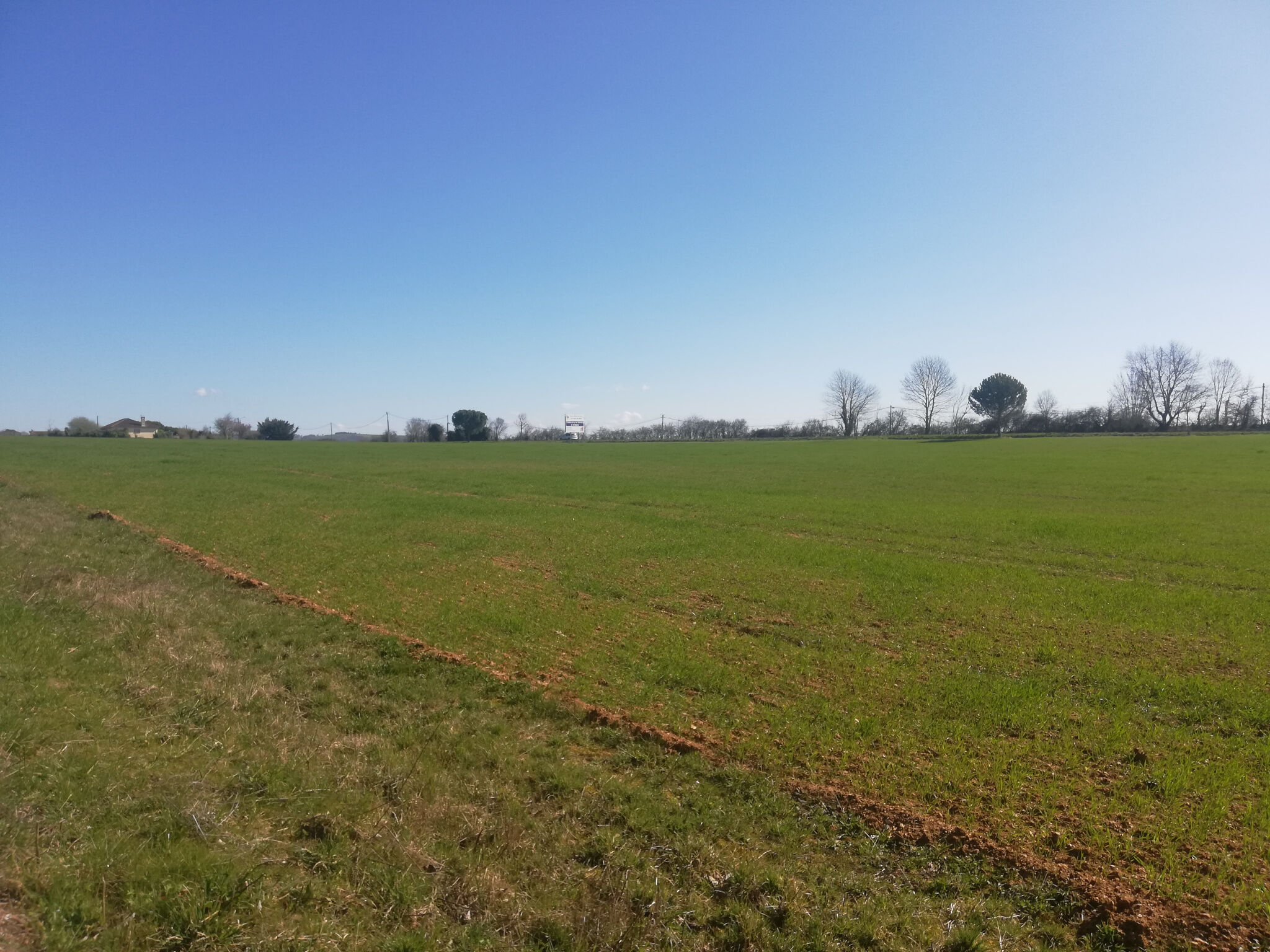 Terrain  à vendre Pampelonne 81190