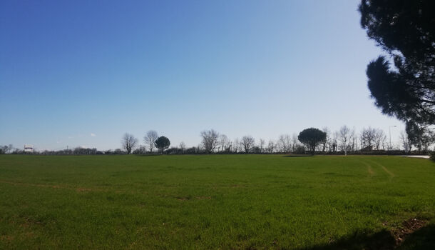 Terrain  à vendre Pampelonne 81190