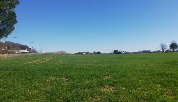 Terrain  à vendre Pampelonne 81190