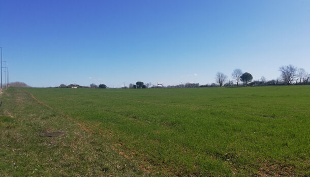 Terrain  à vendre Pampelonne 81190