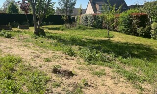 Photo N° 3