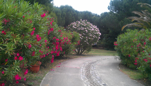 Villa / Maison 7 pièces  à vendre Laroque-des-Albères 66740