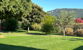 Photo N° 4