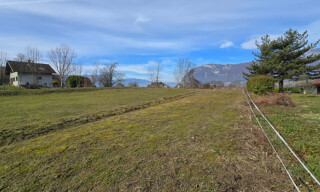Photo N° 4