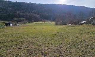 Photo N° 5