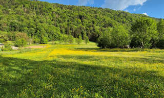 Terrain  1659 m² à vendre à Saint-Pierre-de-Soucy (73800)